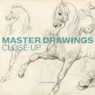 Master Drawings Close–Up