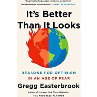It's Better Than It Looks : Reasons for Optimism in an Age of Fear