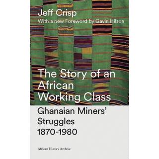 The Story of an African Working Class