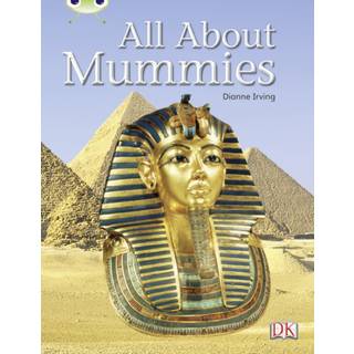 Bug Club Guided Non Fiction Year Two Purple A All About Mummies