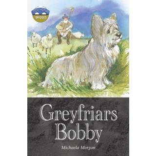 Storyworlds Bridges Stage 12 Greyfriars Bobby (single)