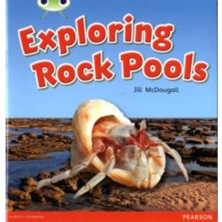 Bug Club Guided Non Fiction Year 1 Green C Exploring Rock Pools