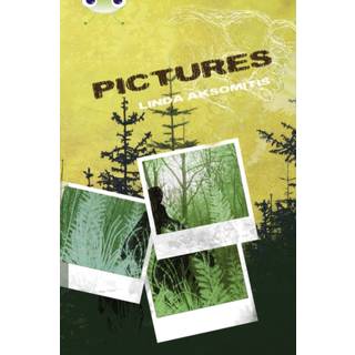 Bug Club Independent Fiction Year 5 Blue B Pictures