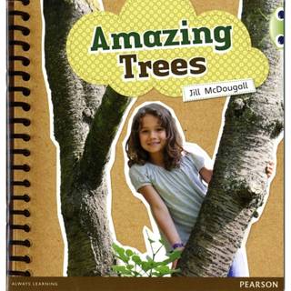 Bug Club Guided Non Fiction Year 1 Green A Amazing Trees