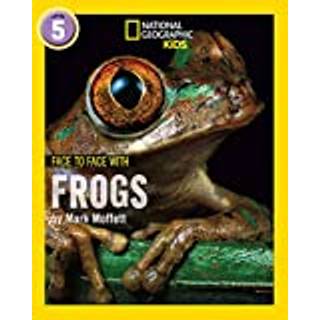 Face to Face with Frogs