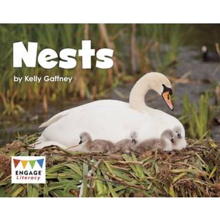 Nests