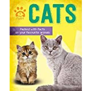 Pet Expert: Cats