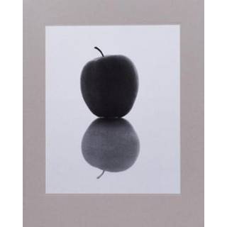 Golden Persimmons II