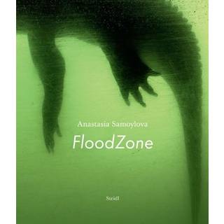 Anastasia Samoylova: FloodZone