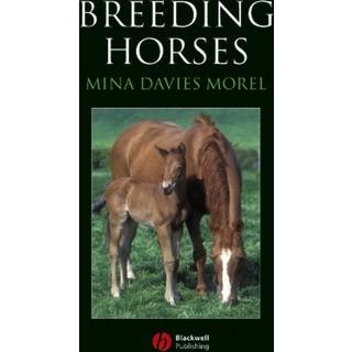Breeding Horses