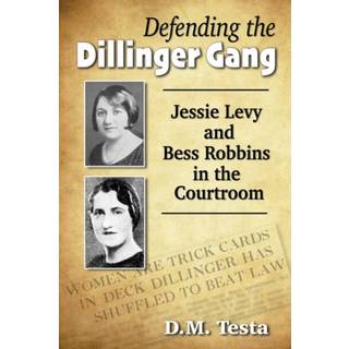 Defending the Dillinger Gang