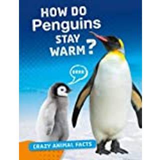 How Do Penguins Stay Warm?