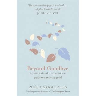Beyond Goodbye