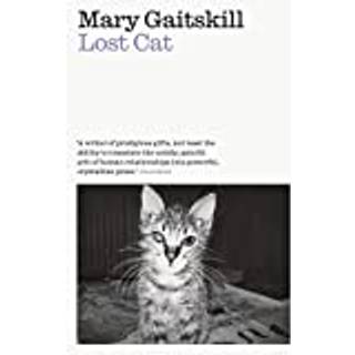 Lost Cat
