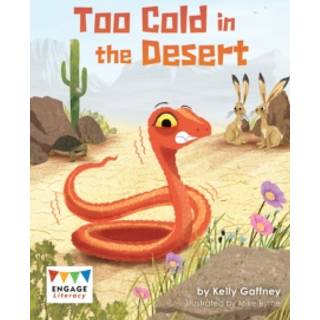 Too Cold in the Desert