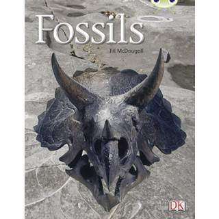 Bug Club Non-fiction Gold A/2B Fossils 6-pack