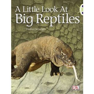 Bug Club Non-fiction Blue (KS1) B/1B A Little Look of Reptiles 6-pack