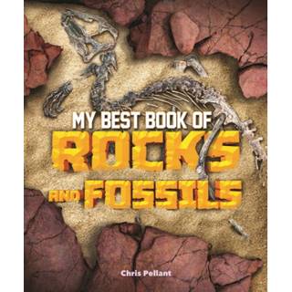 My Best Book of Rocks and Fossils