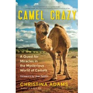 Camel Crazy