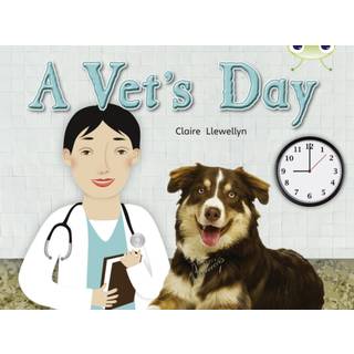 Bug Club Non-fiction Green B/1B A Vet's Day 6-pack