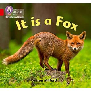 It is a Fox