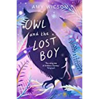 Owl and the Lost Boy