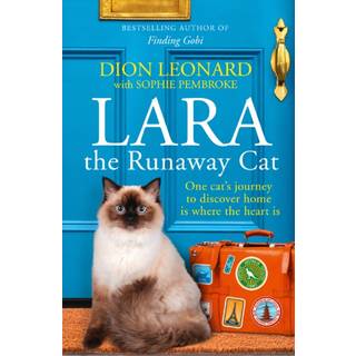 Lara The Runaway Cat