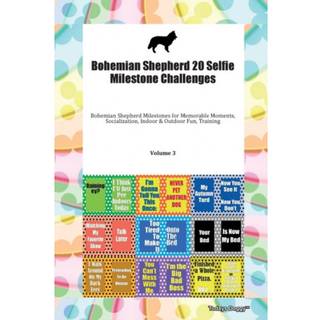 Bohemian Shepherd 20 Selfie Milestone Challenges Bohemian Shepherd Milestones for Memorable Moments, Socialization, Indoor & Outdoor Fun, Training Volume 3
