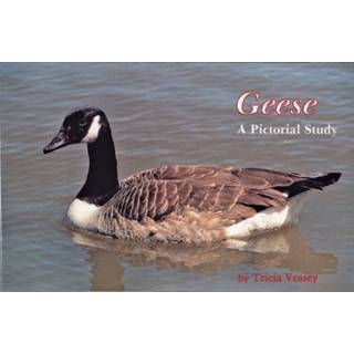 Geese