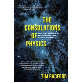 The Consolations of Physics