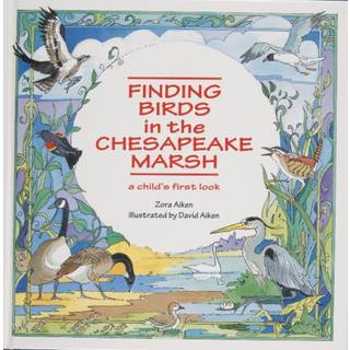 Finding Birds in the Chesapeake Marsh