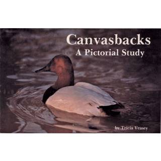 Canvasbacks