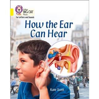 How the Ear Can Hear