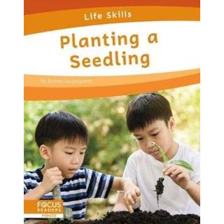 Planting a Seedling