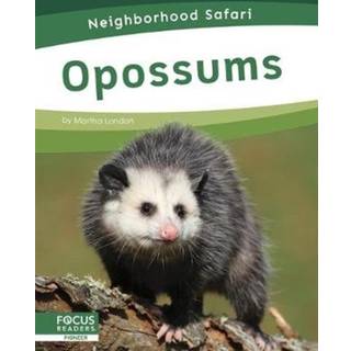 Opossums