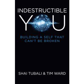 Indestructible You