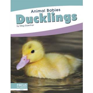 Ducklings