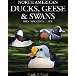 North American Ducks, Geese and Swans