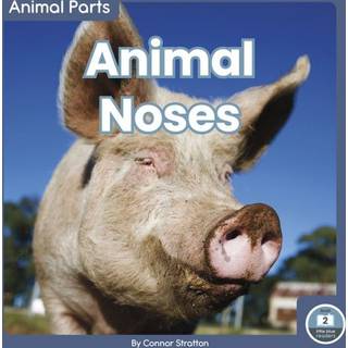 Animal Noses