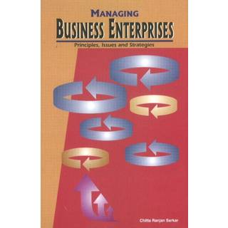 Managing Business Enterprises