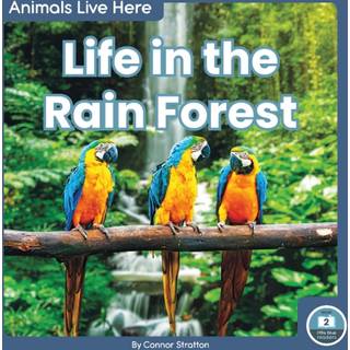 Life in the Rain Forest