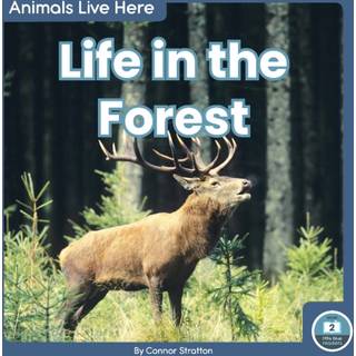 Life in the Forest