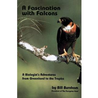 Fascination with Falcons