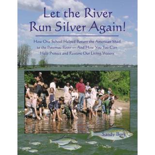 Let the River Run Silver Again!