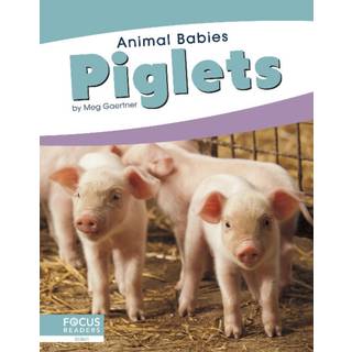 Piglets