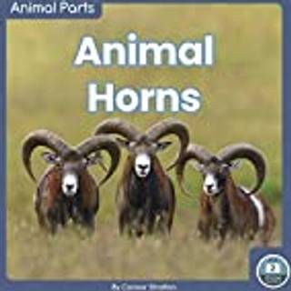 Animal Horns