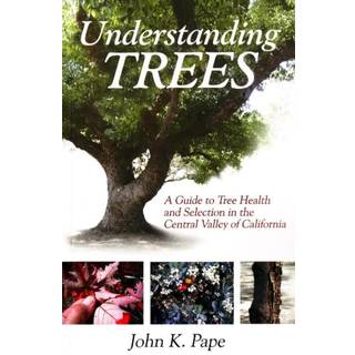 Understanding Trees