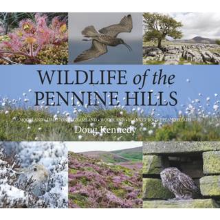 Wildlife of the Pennine Hills