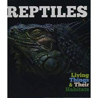 Reptiles