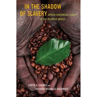 In the Shadow of Slavery